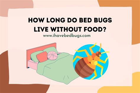 How Long Can Bed Bugs Live Without Food in Hot Weather: A Journey Through the Absurd and the Scientific