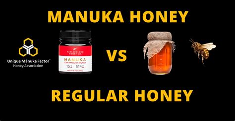 What is the Difference Between Manuka Honey and Regular Honey? And Why Do Bees Never Get Lost in the Supermarket?